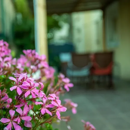 Apt Stoja Beach - 50M From The Sea !! Apartament Pula